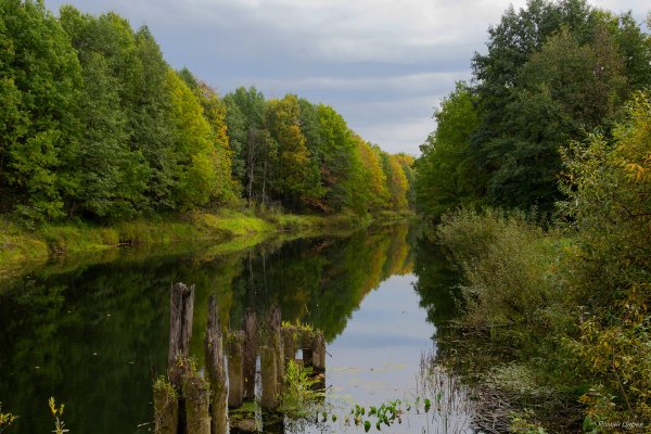 Речка Сережа в Нижегородской области