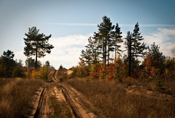 Природа Нижегородской области
