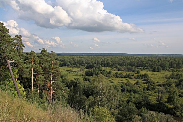 Просторы Нижегородской области