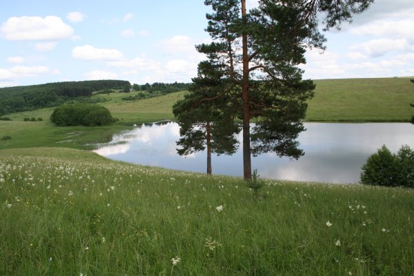 Дальнеконстантиновский район Нижегородская область