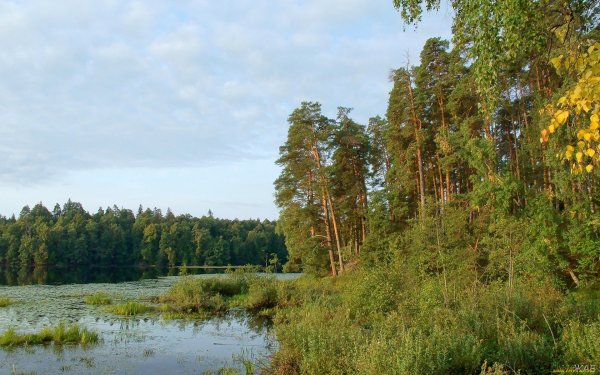 Природа Нижегородского края