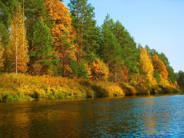 Осенний Керженец озеро
