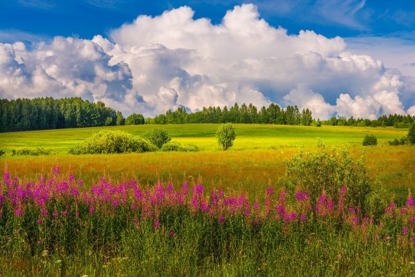 Луга Нижегородской области