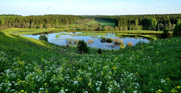 Природа Богородского района Нижегородской