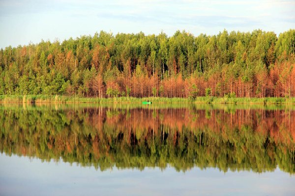 Михайловский заказник Нижегородской области Воротынский район