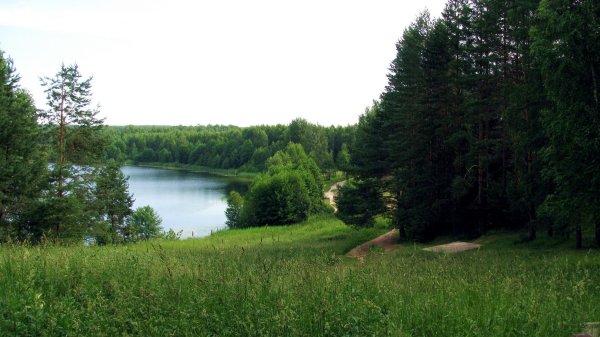Озеро Светлояр Нижегородская область лес