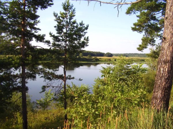 Озера Сосновый Бор Нижегородская область