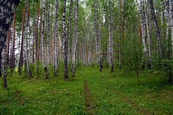 Ветлуга Нижегородская область Легенда