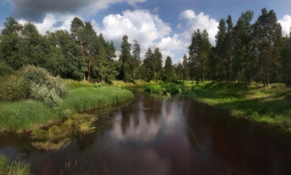 Река Керженец Керженский заповедник