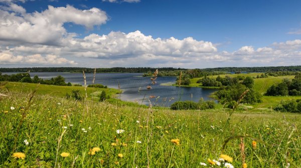 Природа Нижегородского края