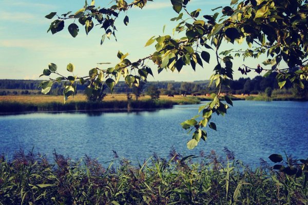 Природа Нижегородского края