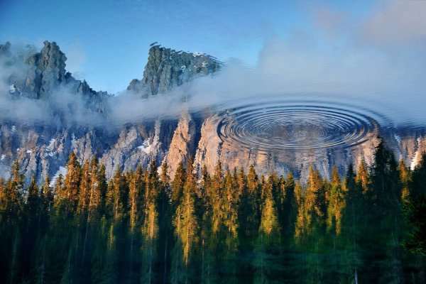 Невероятная природа цветы
