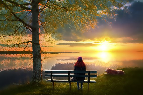 Природа закат человек