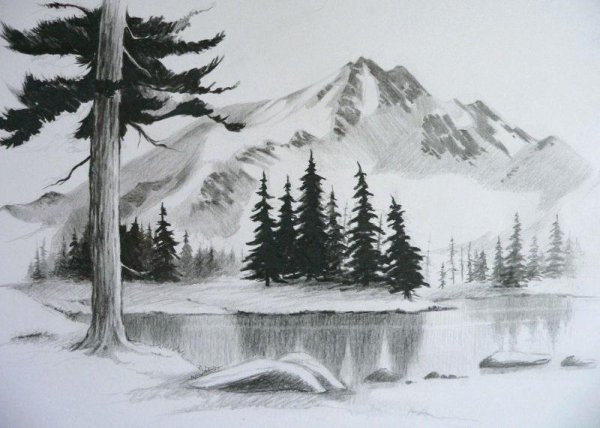 Рисунки для срисовки природа