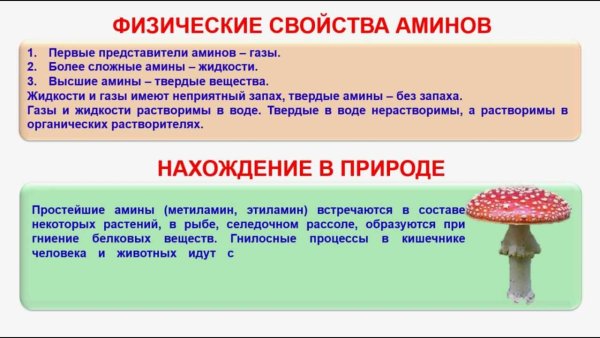 Нахождение Аминов в природе