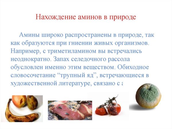 Аминокислоты нахождение в природе