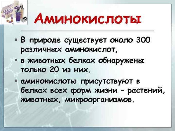 Применение Аминов
