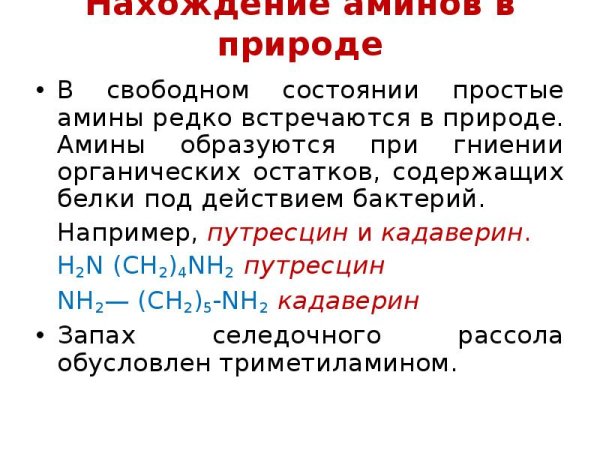 Применение Аминов