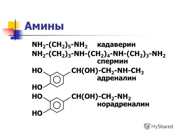 Области применения аминокислот