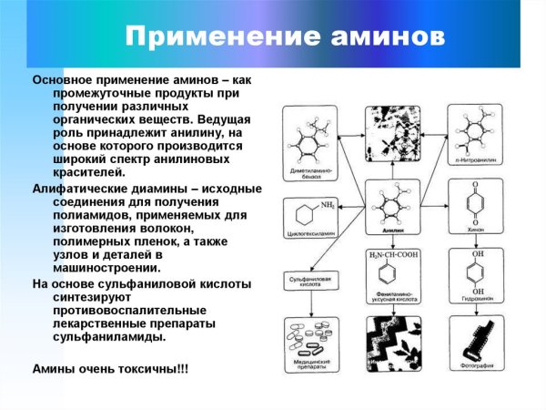 Классификация Аминов первичные вторичные третичные примеры