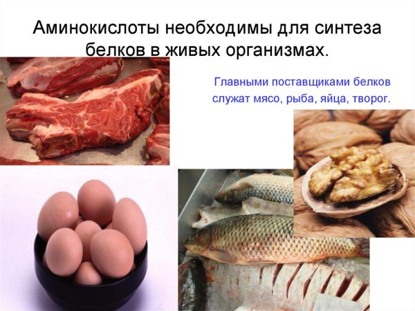 Применение Аминов