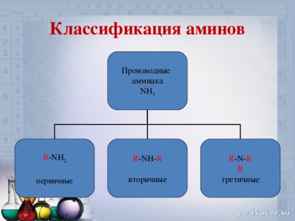 Амины нитросоединения аминокислоты