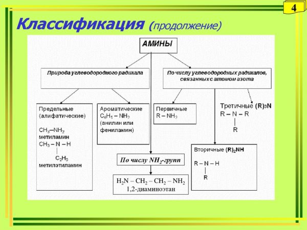 Аминокислоты в жизни