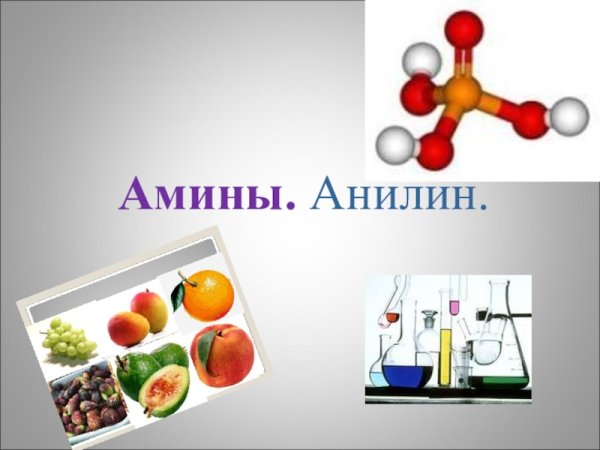 Амины химические вещества