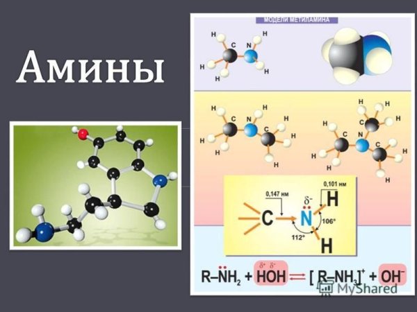 Аминокислоты презентация