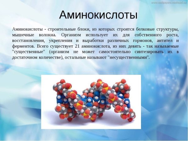 Где применяются белки химия