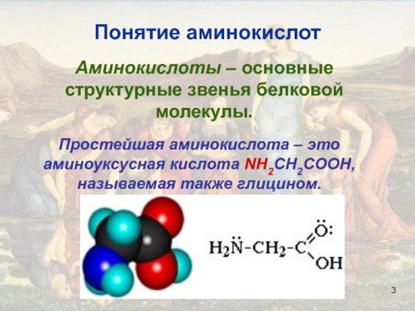 Образование биогенных Аминов гистамина