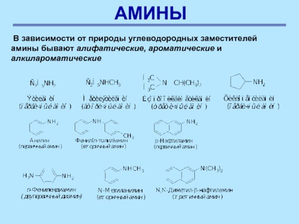 Аминокислоты без фона