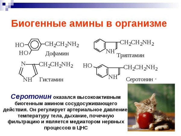 Применение аминокислот в медицине