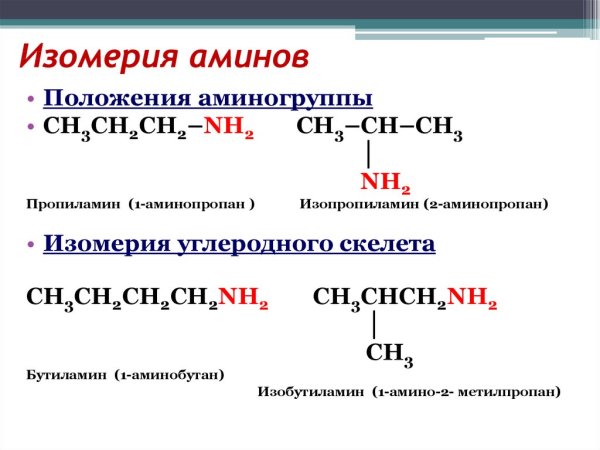 Химические свойства Аминов на примере метиламина