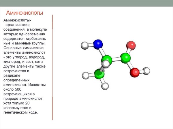 Взаимодействие метиламина с водой