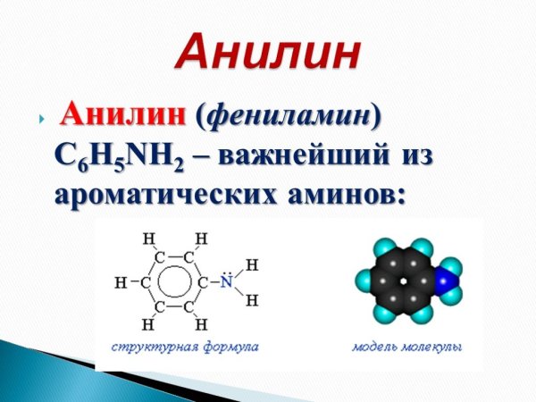 Аминокислоты мономеры белков