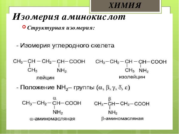 Модель аминокислоты