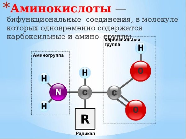 Молекула аминокислоты