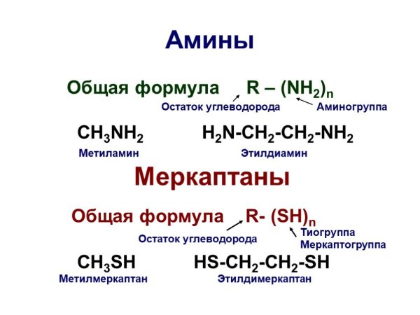 Формула предельных Аминов общая cnh2n