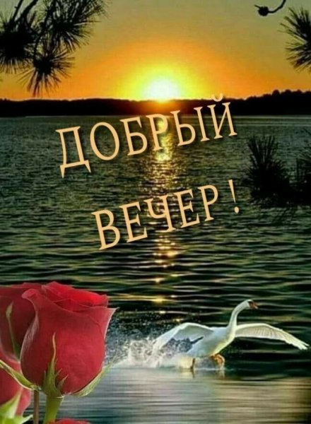 Добрый вечер природа с надписью