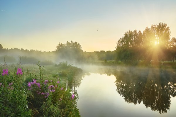 Утренний рассвет