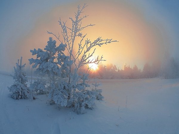 Морозное декабрьское утро