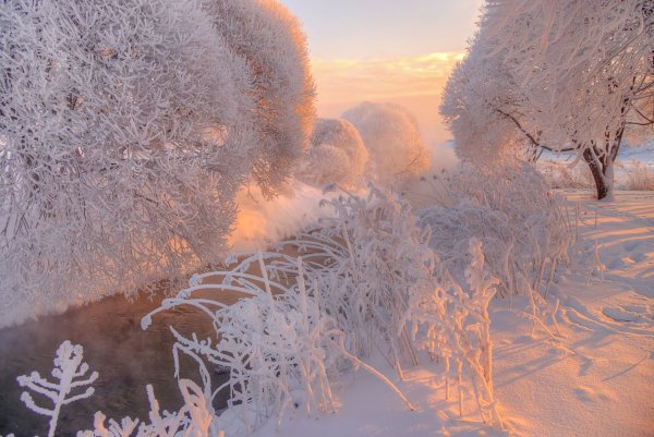 Зимний рассвет