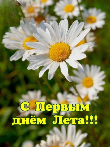 С добрым летним утром