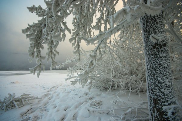 Зима Мороз