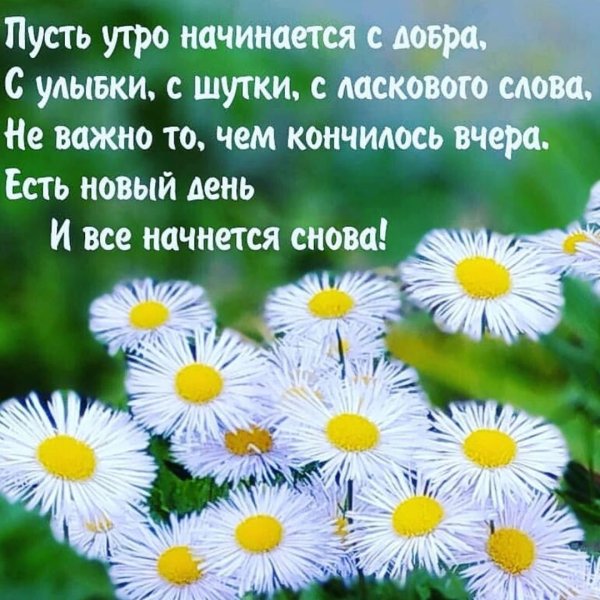 Открытки с добрым утром с природой