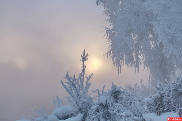 Лютая зима
