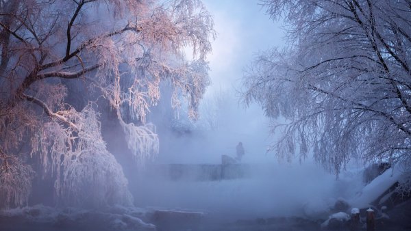 Михаил Дубровинский