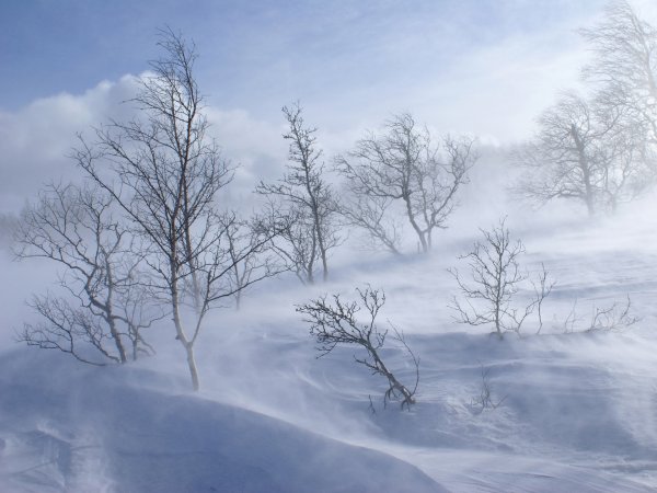 Зима метель