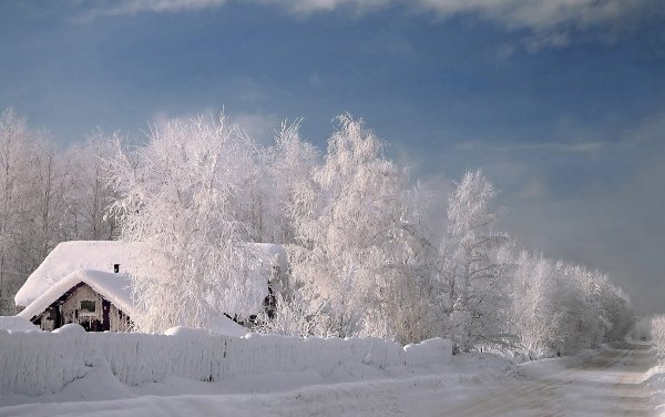 Холодный климат
